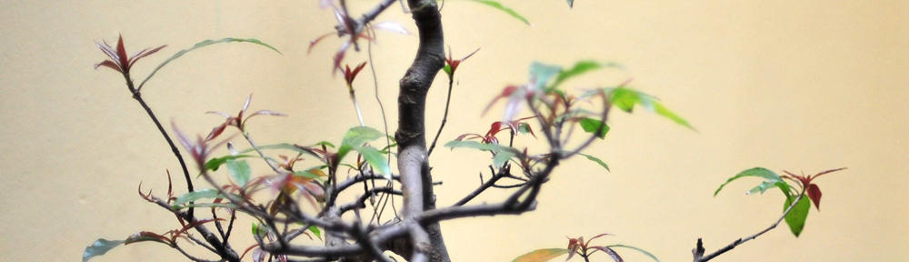 Web cam 4 ultimate real time gay Zero cost sex cams cam